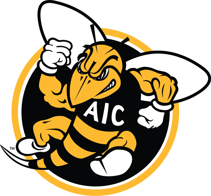 AIC Yellow Jackets 2009-Pres Alternate Logo v2 iron on transfers for clothing